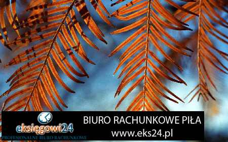 Piła doradca księgowy