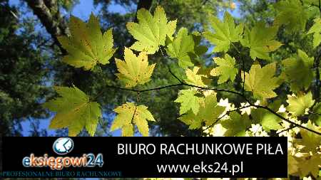 Piła biuro rachunkowe