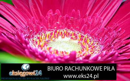 najlepsza księgowa Piła