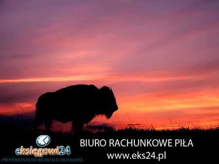 biuro rachunkowe Chodzież