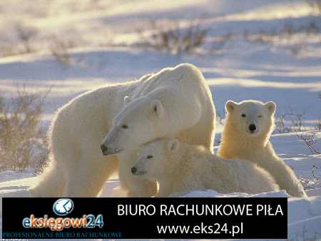 biuro księgowe Ujście