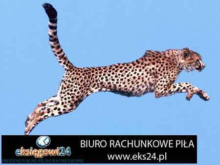 ekskluzywne tapety ścienne