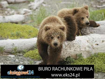 biuro podatkowe Piła