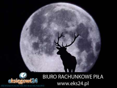 doradza podatkowy Trzcianka