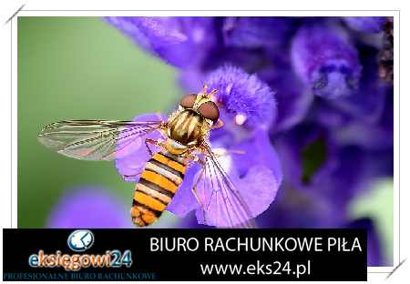 tapeta ścienna młodzieżowa