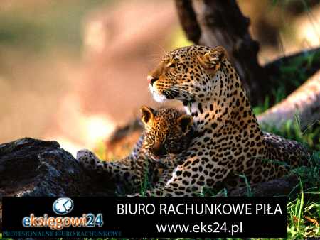 biuro rachunkowe Piła