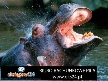 księgowość Szydłowo