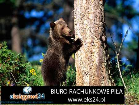 najlepsze biuro rachunkowe Piła