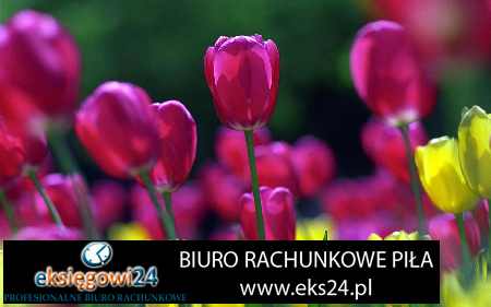 biura rachunkowe Piła