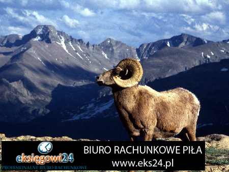 biuro podatkowe Piła