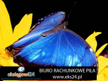 tapety na ścianę nowoczesne