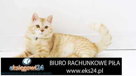 Wałcz biuro rachunkowe