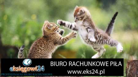 doradza podatkowy Trzcianka