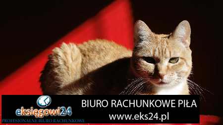 Piła biuro rachunkowe