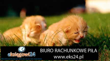 Czarnków biura rachunkowe