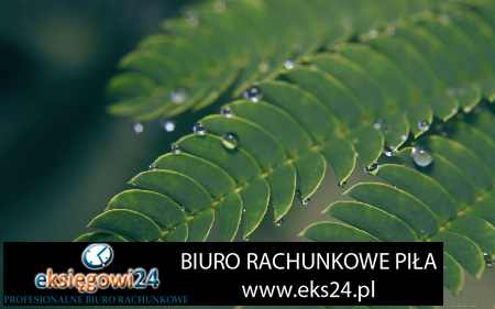 Czarnków biura księgowe