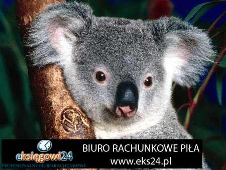 biuro rachunkowe Piła