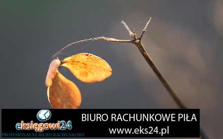 tanie biura rachunkowe Piła