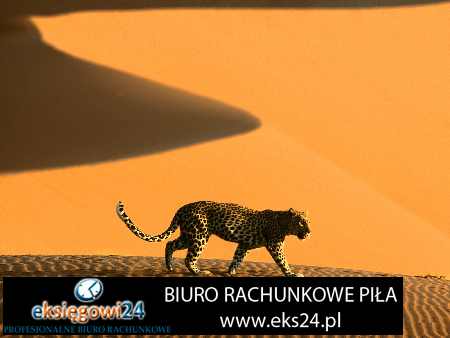 biuro podatkowe Ujście