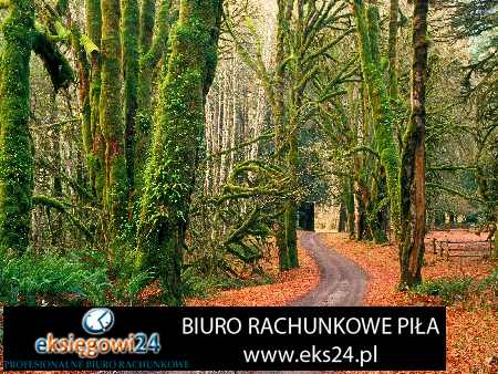 Pila biuro rachunkowe