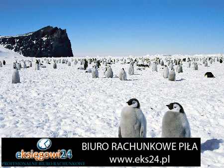 Wałcz księgowość