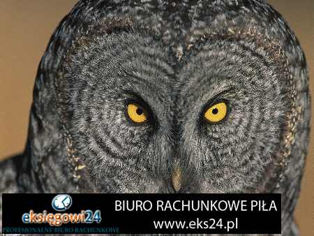 biuro księgowe Szydłowo