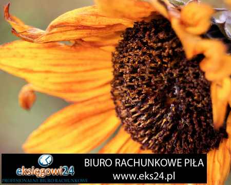 biura rachunkowe Piła