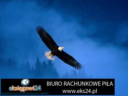 Piła biuro rachunkowe
