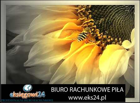 tapety ścienne sklep