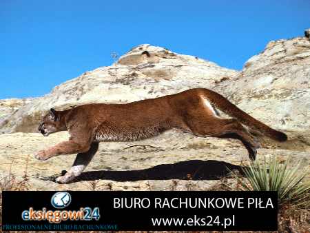 Biuro rachunkowe Pila