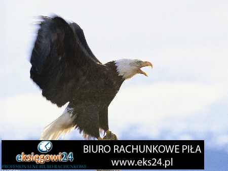 biura rachunkowe Piła