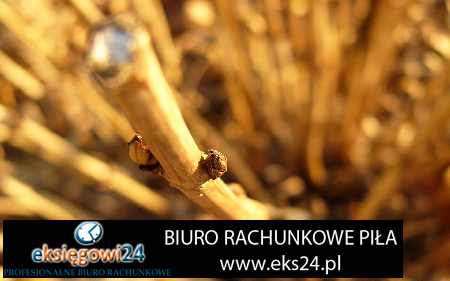 biuro rachunkowe Czarnków