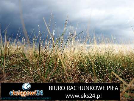 biura podatkowe Chodzież