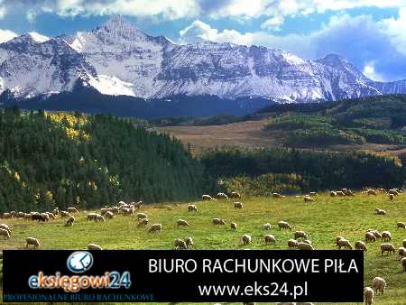 Ujście biuro podatkowe