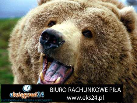 biura księgowe Chodzież