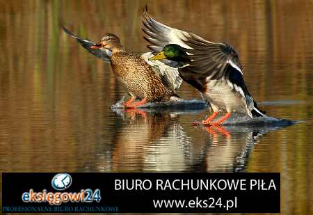 Trzcianka biuro rachunkowe