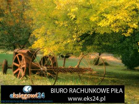 biuro rachunkowe Piła