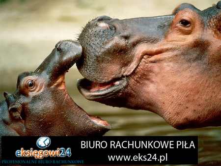 biuro ksiegowe Pila
