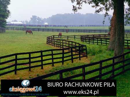 biuro rachunkowe Piła
