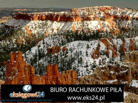 Pila biura rachunkowe