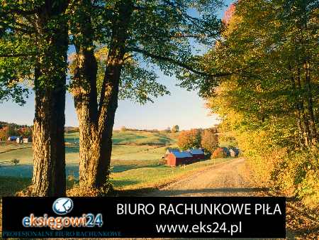 biura rachunkowe Piła