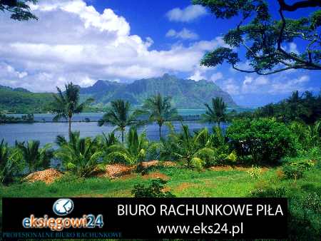 Piła rachunkowość