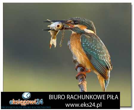 biuro rachunkowe Czarnków