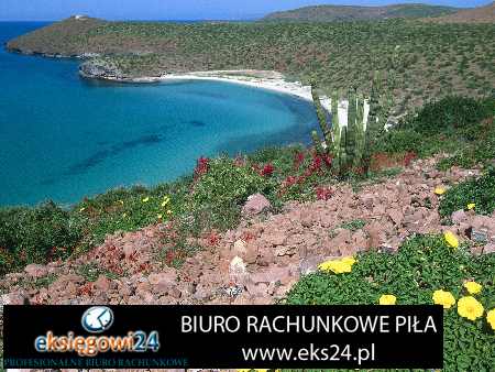 biuro rachunkowe w Złotowie