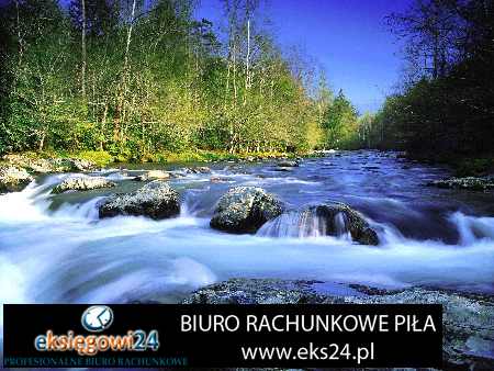 Biura rachunkowe w Pile
