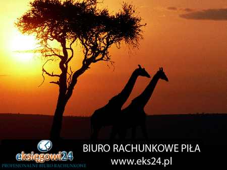 biuro rachunkowe Trzcianka