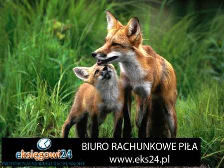 biuro rachunkowe Piła