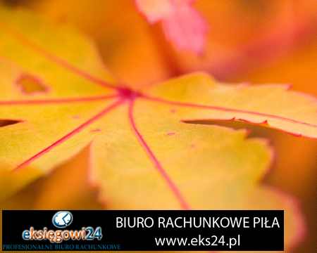 Wałcz biuro rachunkowe