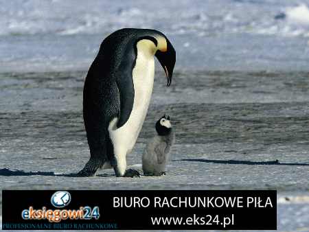 Złotów biuro rachunkowe