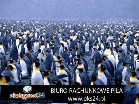 biura rachunkowe Piła